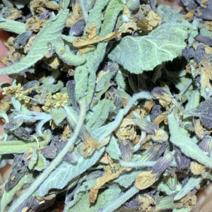 Salvia Officinalis (foglie e fiori)