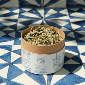 Basilico Tulsi